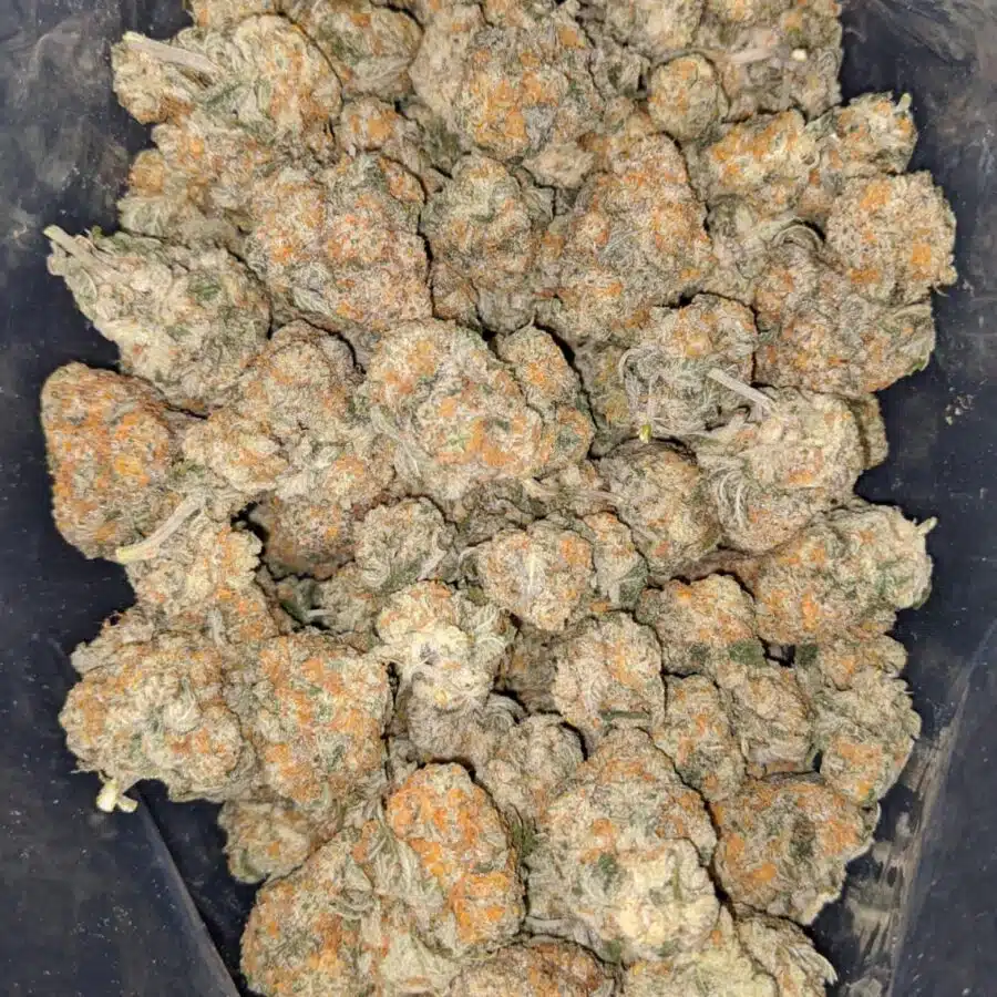 sour og 2 I Sour OG