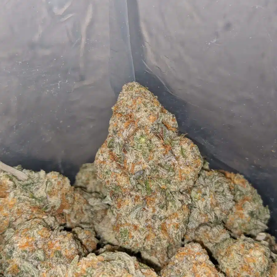 sour og 4 I Sour OG