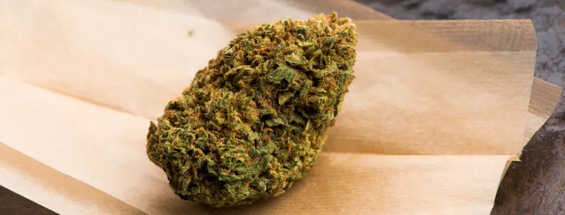 Can You Overdose on Cannabis