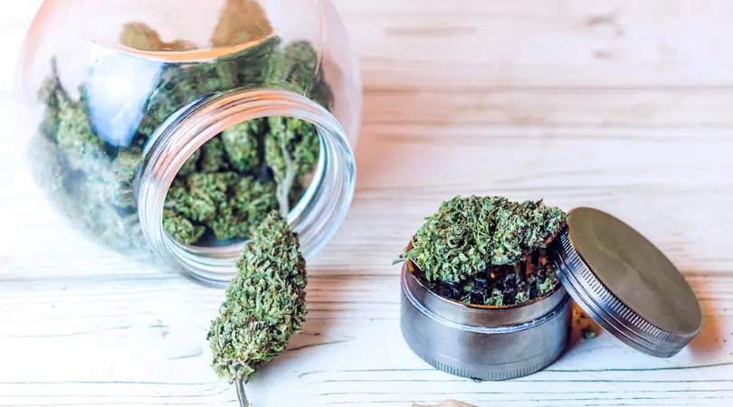 How Much Marijuana Use Is Too Much