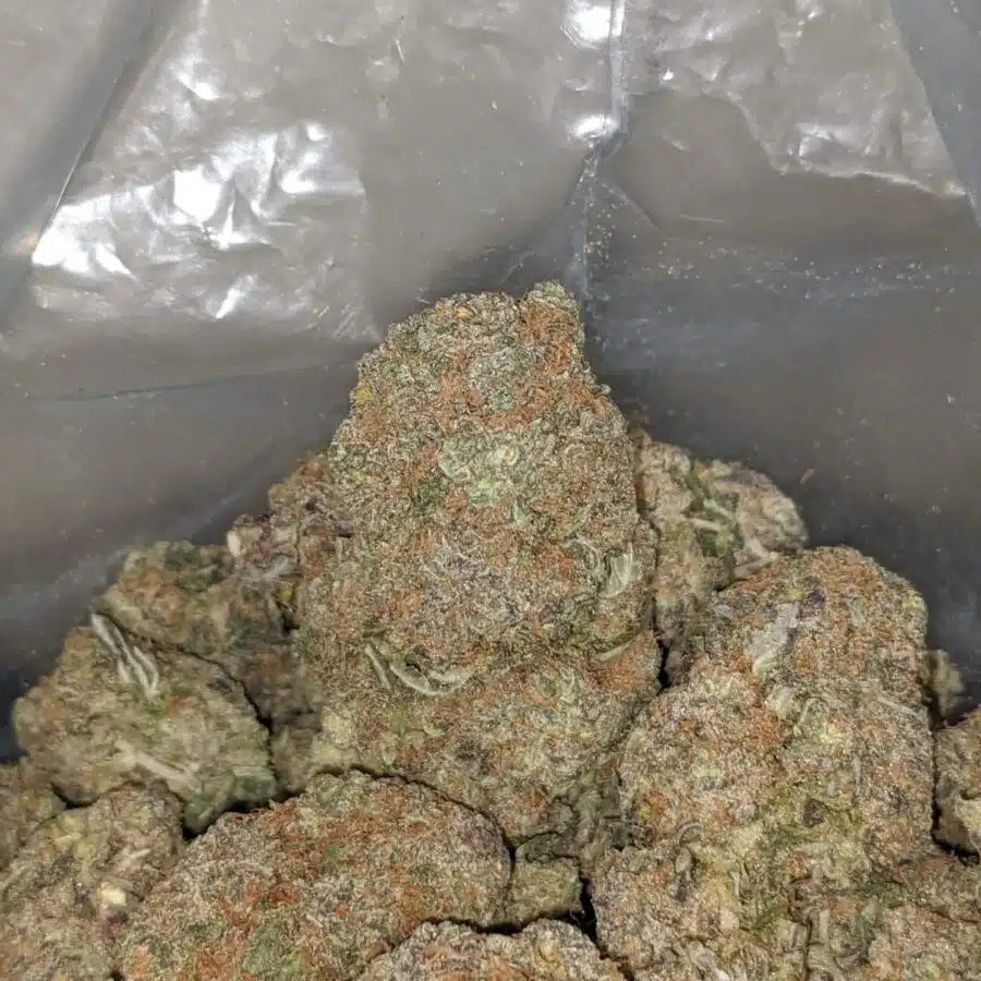 bubblegum 1 I $ 67 Oz - Bubblegum