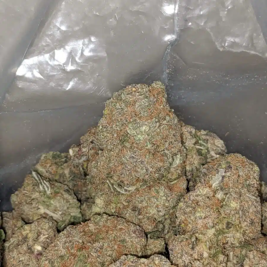 bubblegum 2 I $ 67 Oz - Bubblegum