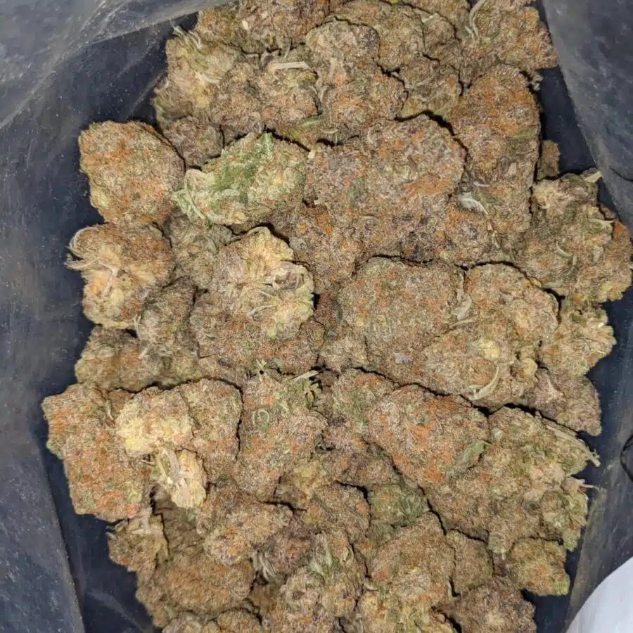 bubblegum 3 I $ 67 Oz - Bubblegum