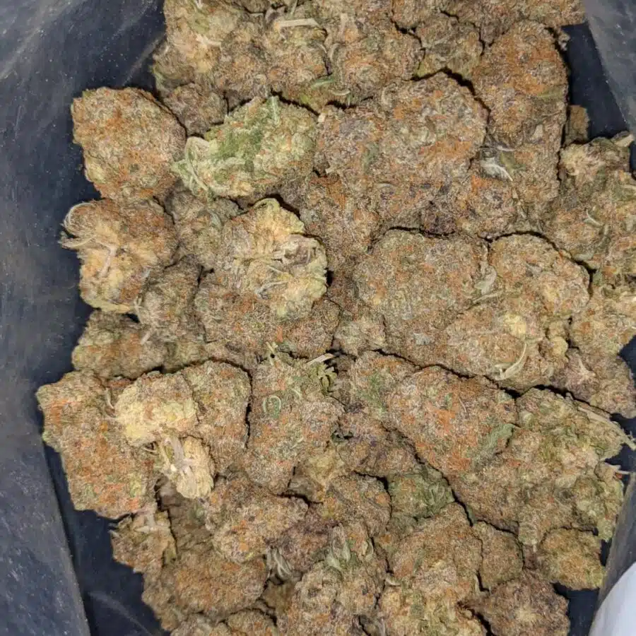 bubblegum 4 I $ 67 Oz - Bubblegum