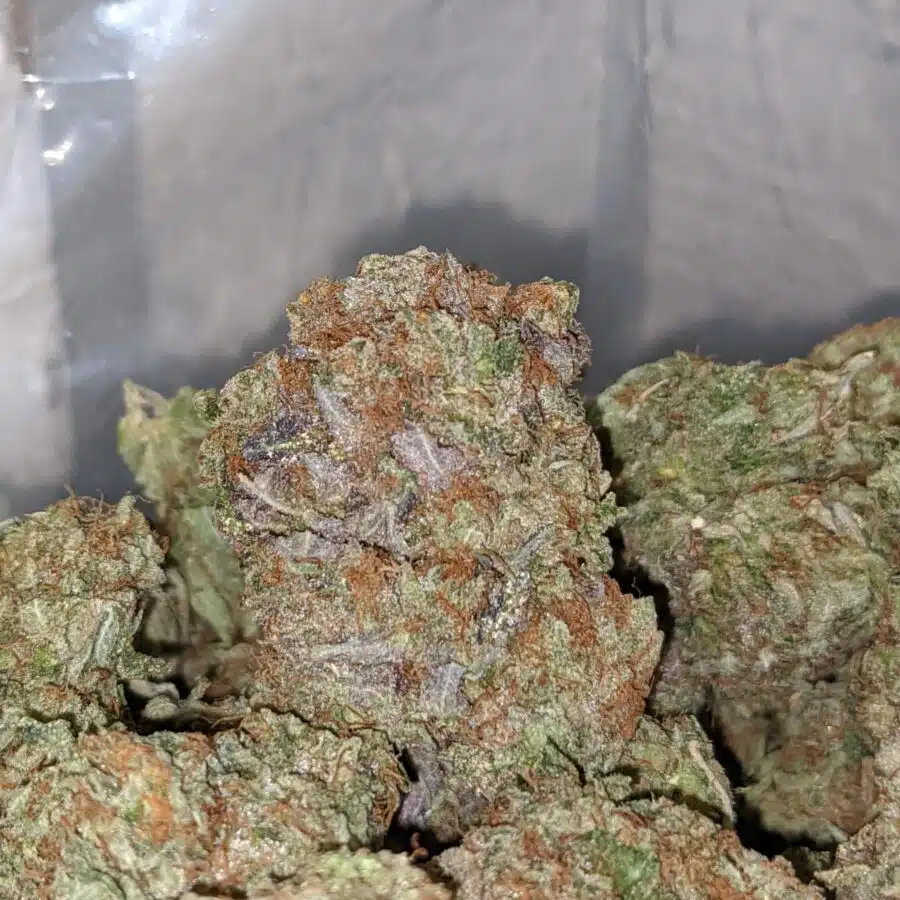 emmas white widow 1 I Emma's White Widow