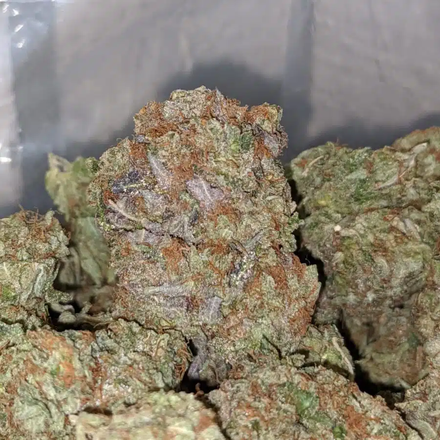 emmas white widow 2 I Emma's White Widow