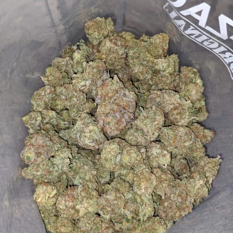 emmas white widow 3 I Emma's White Widow