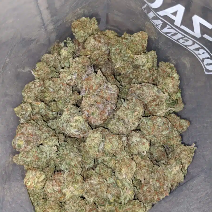 emmas white widow 4 I Emma's White Widow