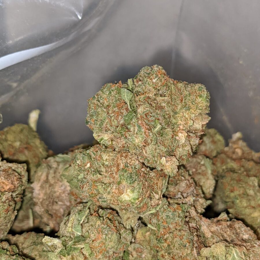 Jedi Kush Bulk Special - Image 6