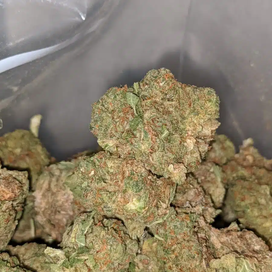 jedi kush bulk special 1 I Jedi Kush Bulk Special