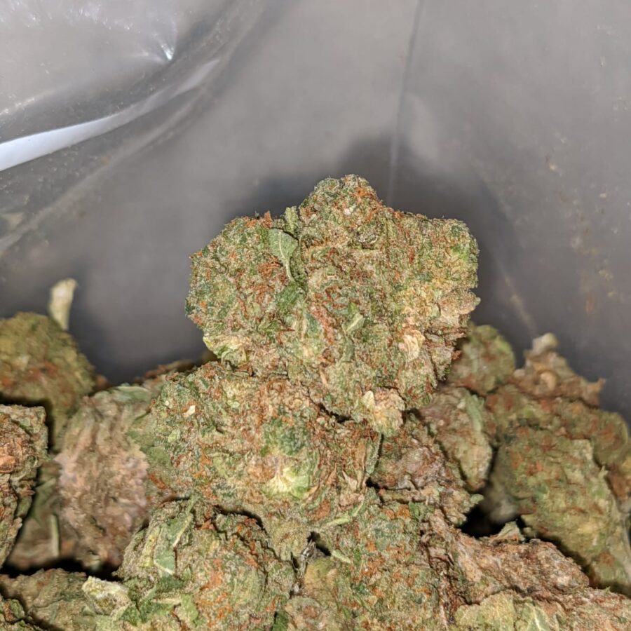 Jedi Kush Bulk Special - Image 7