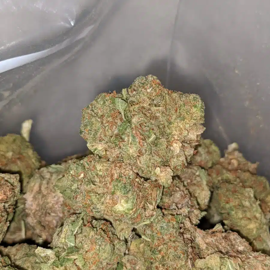 jedi kush bulk special 2 I Jedi Kush Bulk Special