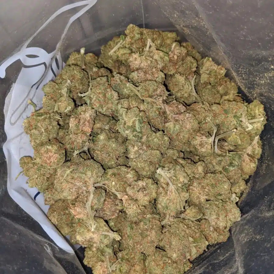 jedi kush bulk special 3 I Jedi Kush Bulk Special