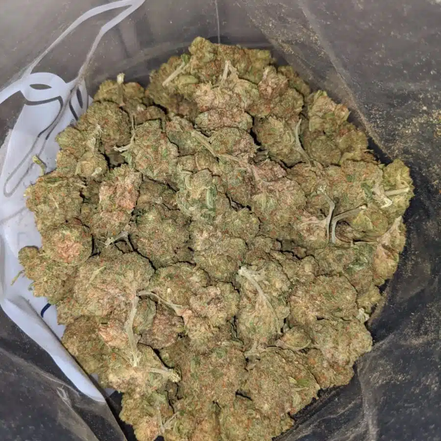 jedi kush bulk special 4 I Jedi Kush Bulk Special