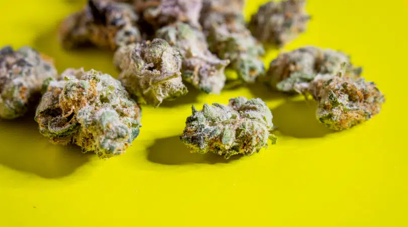 4 Best Marijuana Strains That’ll Melt Away Your Anxiety
