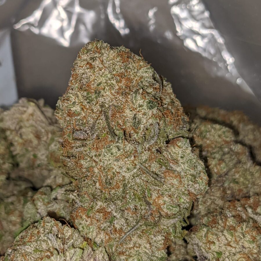 Blackberry X Dosi Pie - Image 5