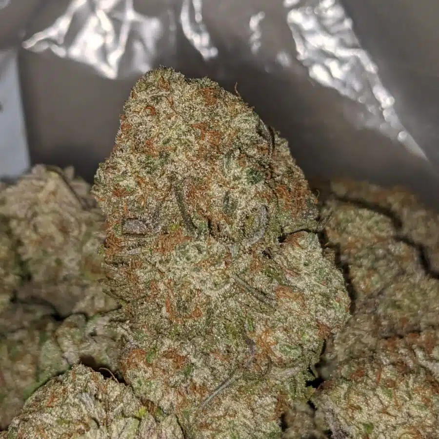 BLACKBERRY X DOSI PIE 1 I Blackberry X Dosi Pie