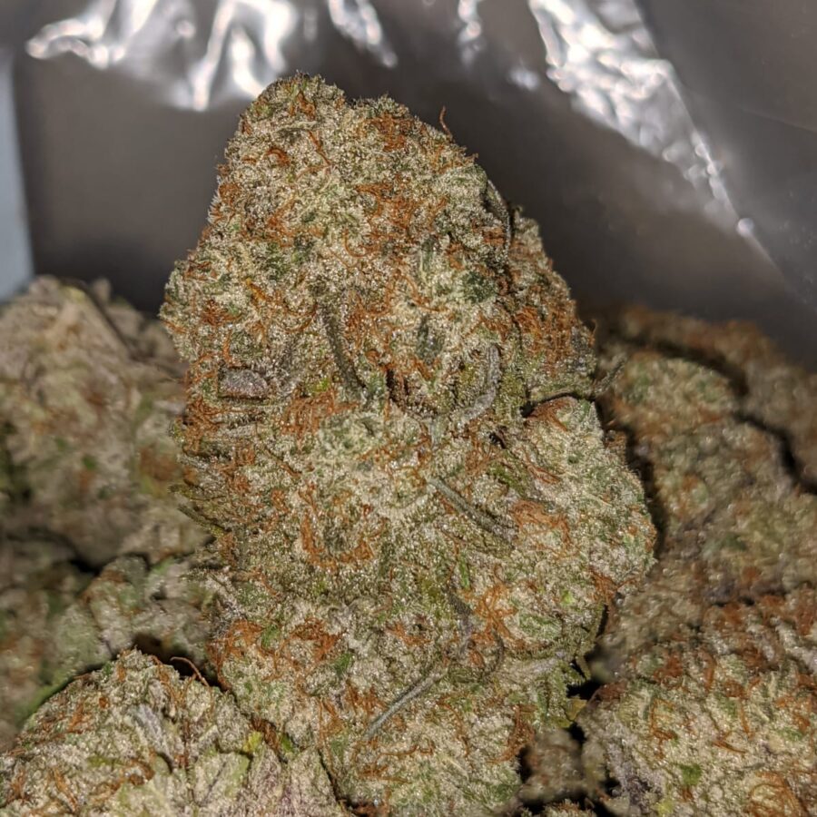 Blackberry X Dosi Pie - Image 7