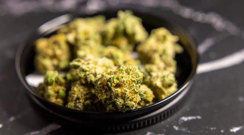 Best Marijuana Strains of Summer 2020