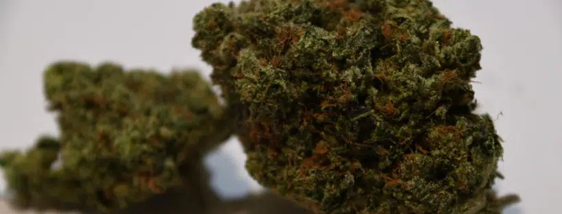 Fire OG