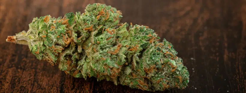 Granddaddy Purple 