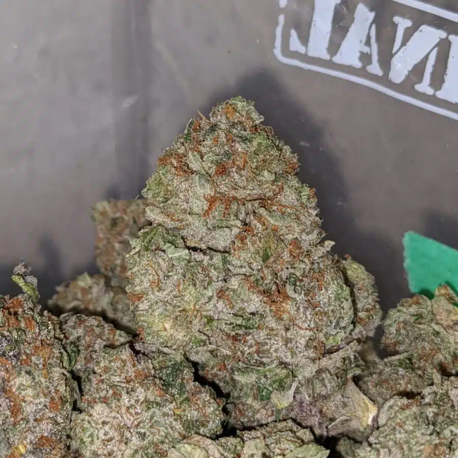 greenfarms death bubba 1 I Green farms Death Bubba