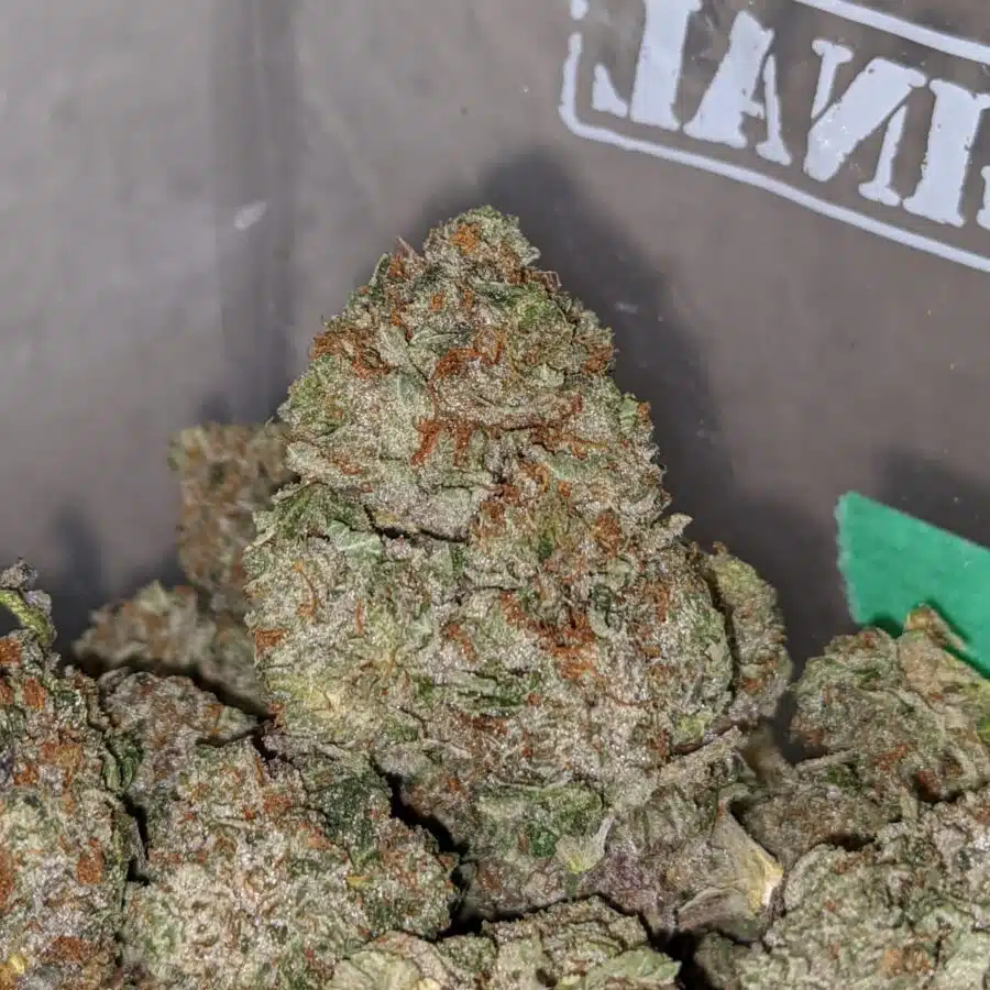 greenfarms death bubba 2 I Green farms Death Bubba