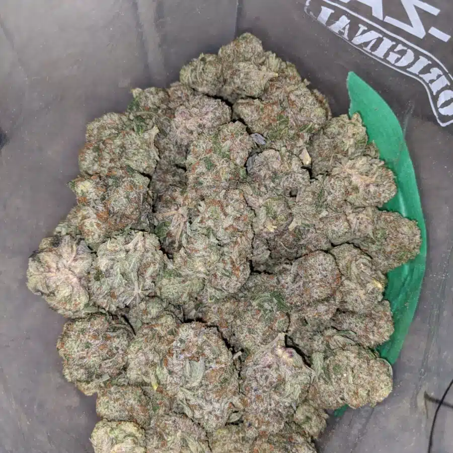 greenfarms death bubba 3 I Green farms Death Bubba