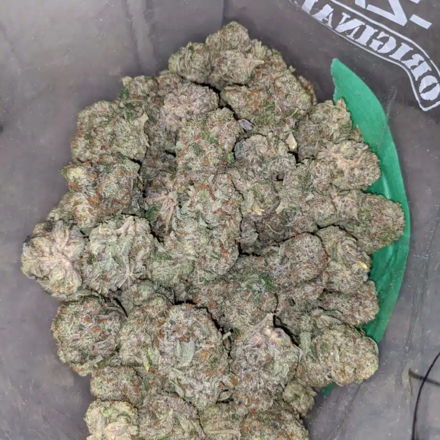 greenfarms death bubba 4 I Green farms Death Bubba