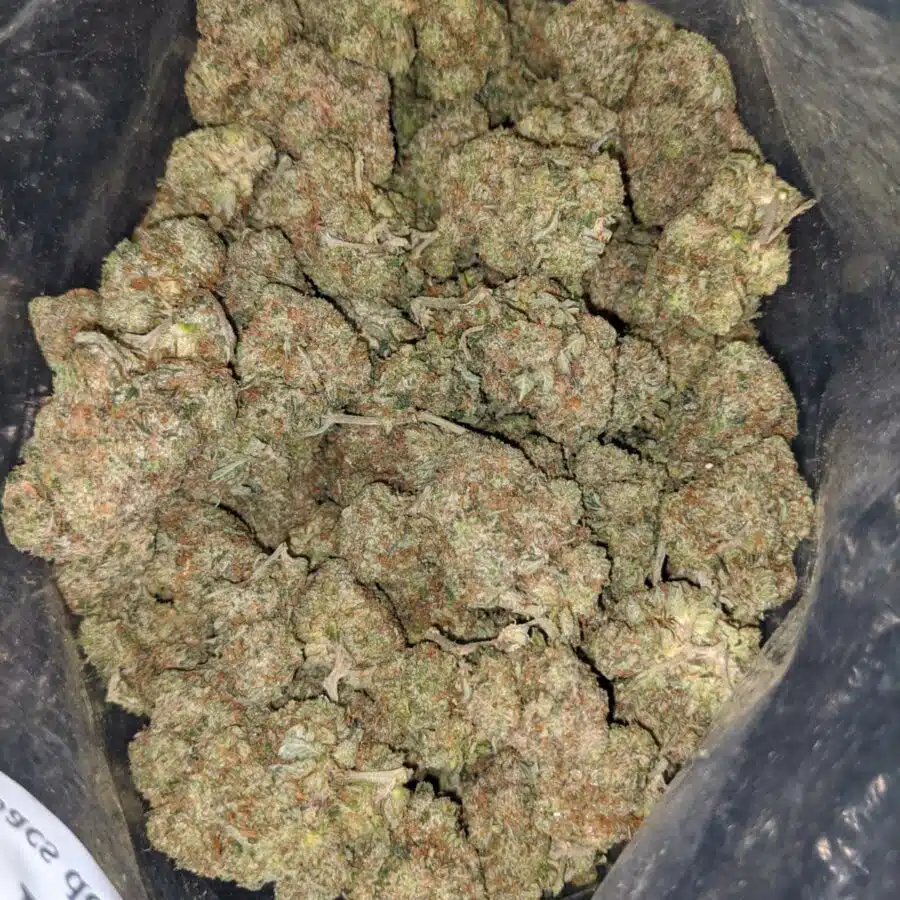 lindsay wreck og 1 I Lindsay Wreck OG