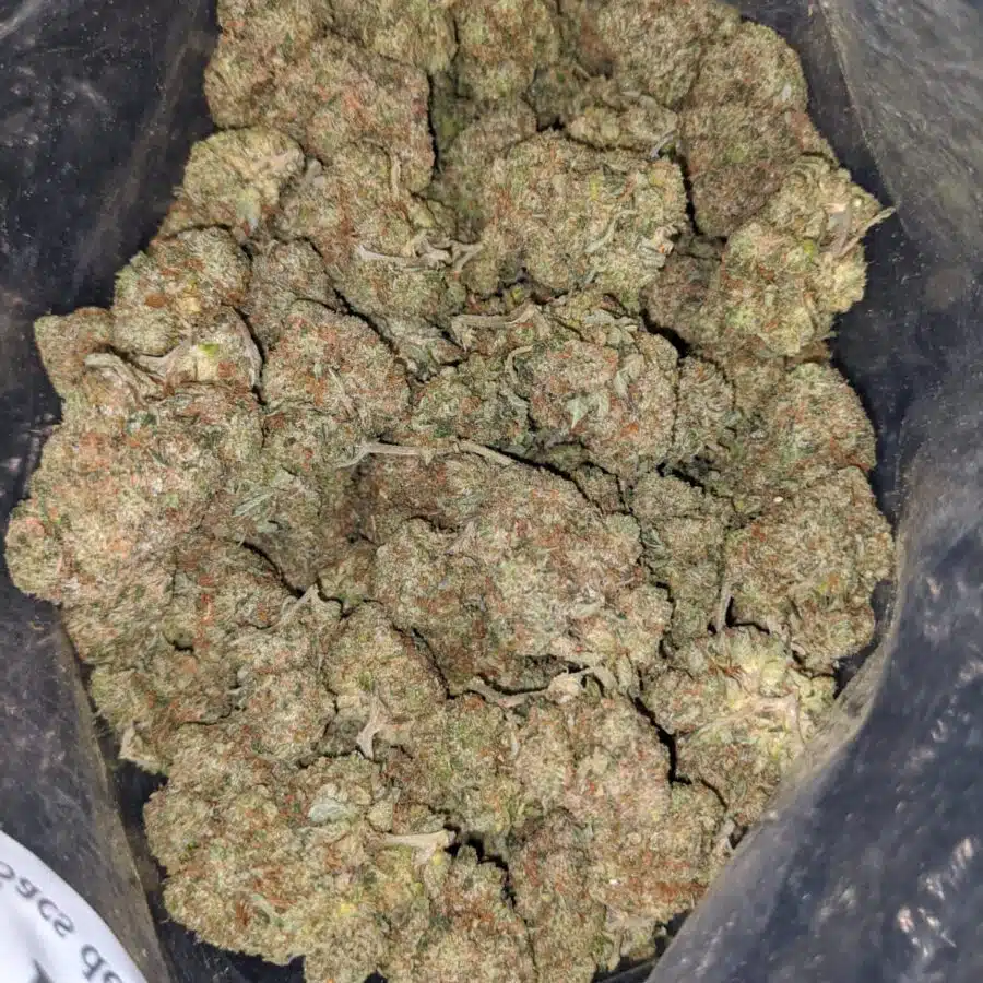lindsay wreck og 2 I Lindsay Wreck OG