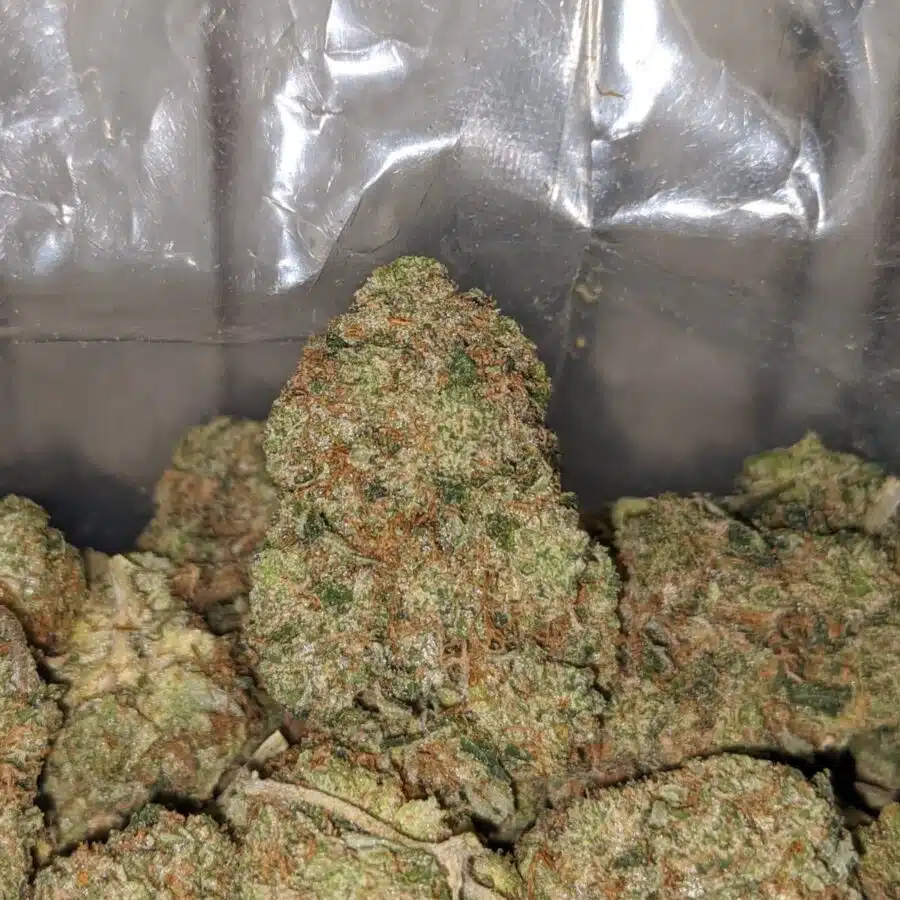 lindsay wreck og 4 I Lindsay Wreck OG