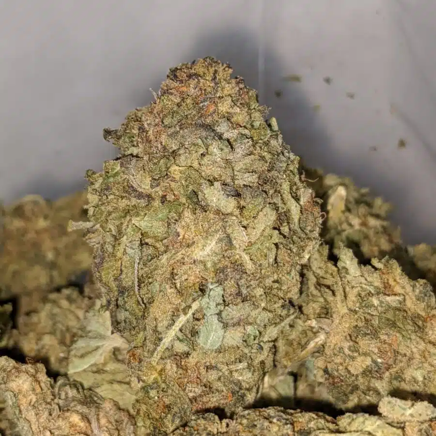 sour poison aa 1 I Sour Poison AA+