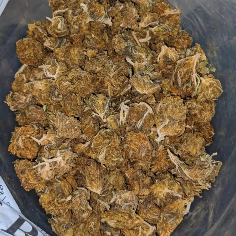 AA cheap sativa 2 I AA Cheap Sativa
