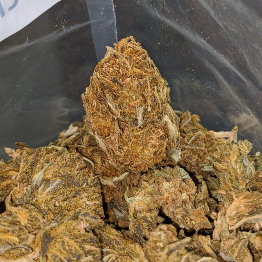 AA cheap sativa 3 I AA Cheap Sativa