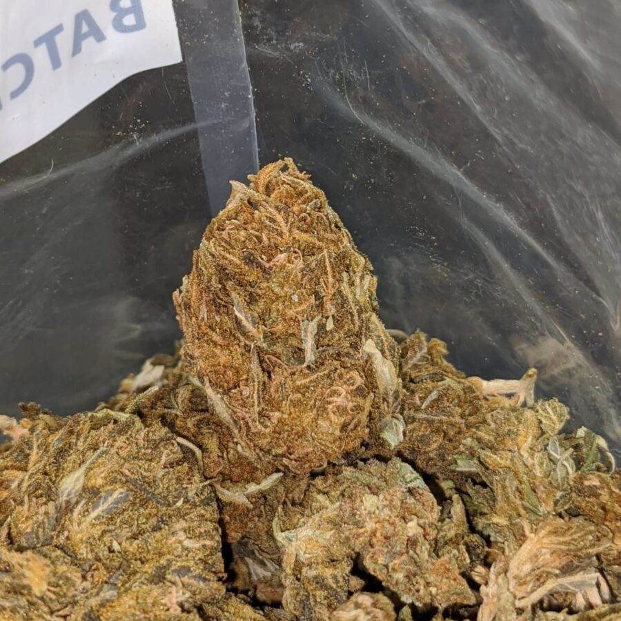 AA cheap sativa 4 I AA Cheap Sativa