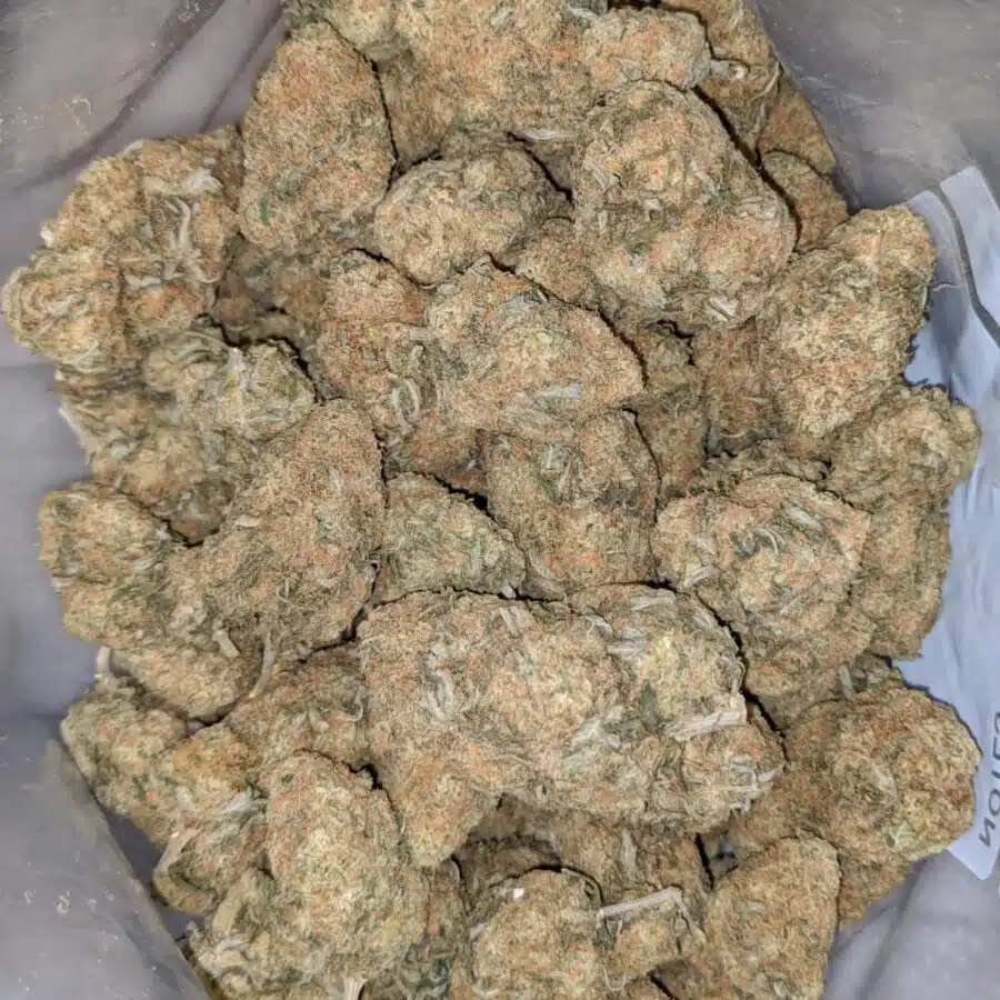 SHERBET 2 I $68 Oz - Sherbet