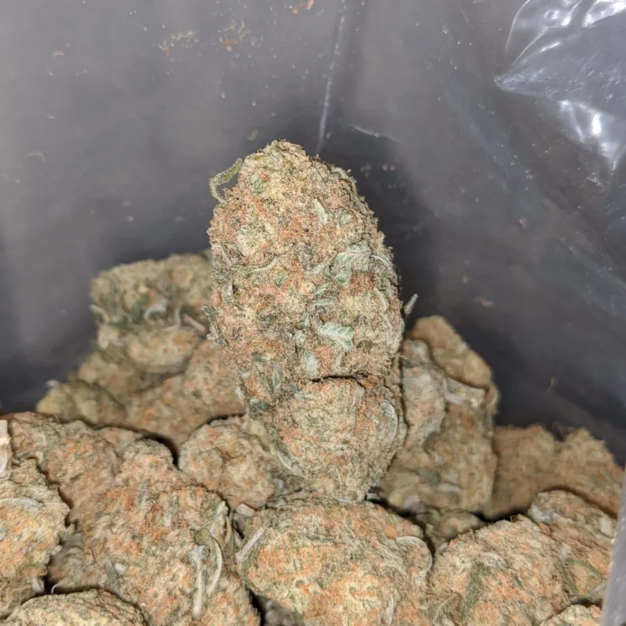 SHERBET 3 I $68 Oz - Sherbet
