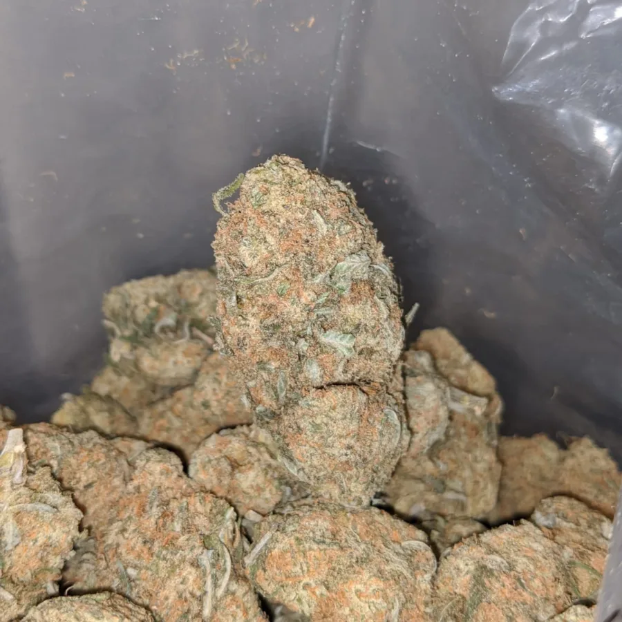 SHERBET 4 I $68 Oz - Sherbet