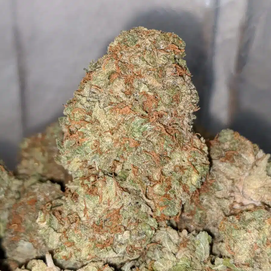 kosher kush dod 1 I Kosher Kush - *Deal of the Day*
