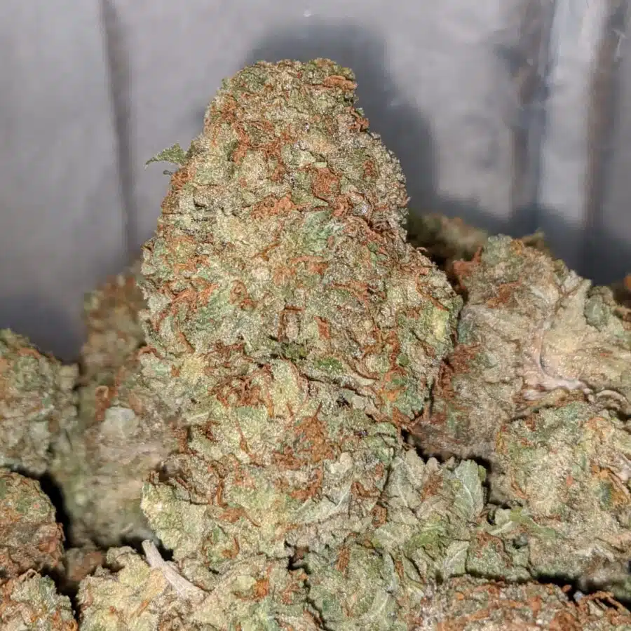 kosher kush dod 2 I Kosher Kush - *Deal of the Day*