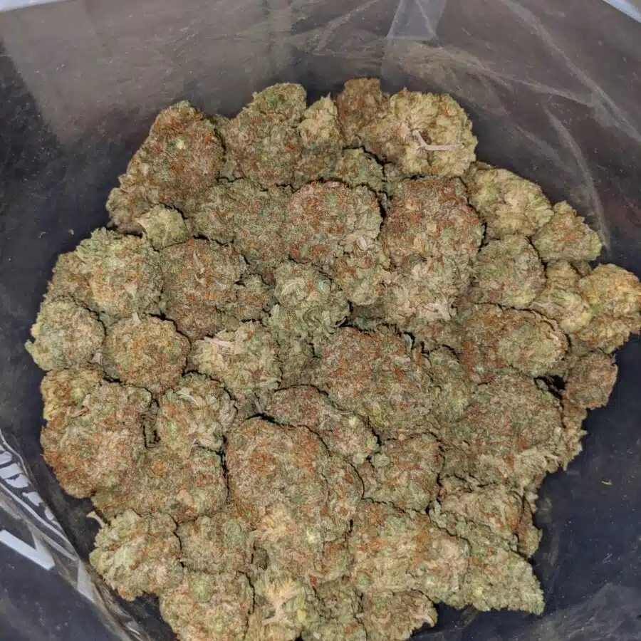 kosher kush dod 4 I Kosher Kush - *Deal of the Day*