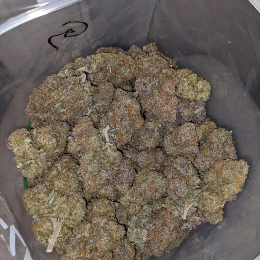 tgw 2 I Tony's G-Wiz