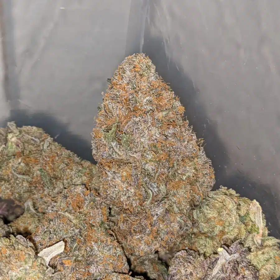 tgw 3 I Tony's G-Wiz