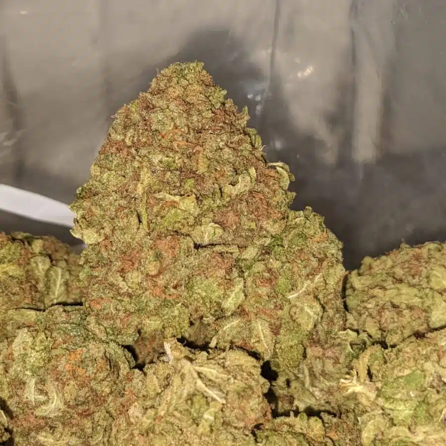 yellow kush dod 2 I Yellow Kush - *Deal of the Day*