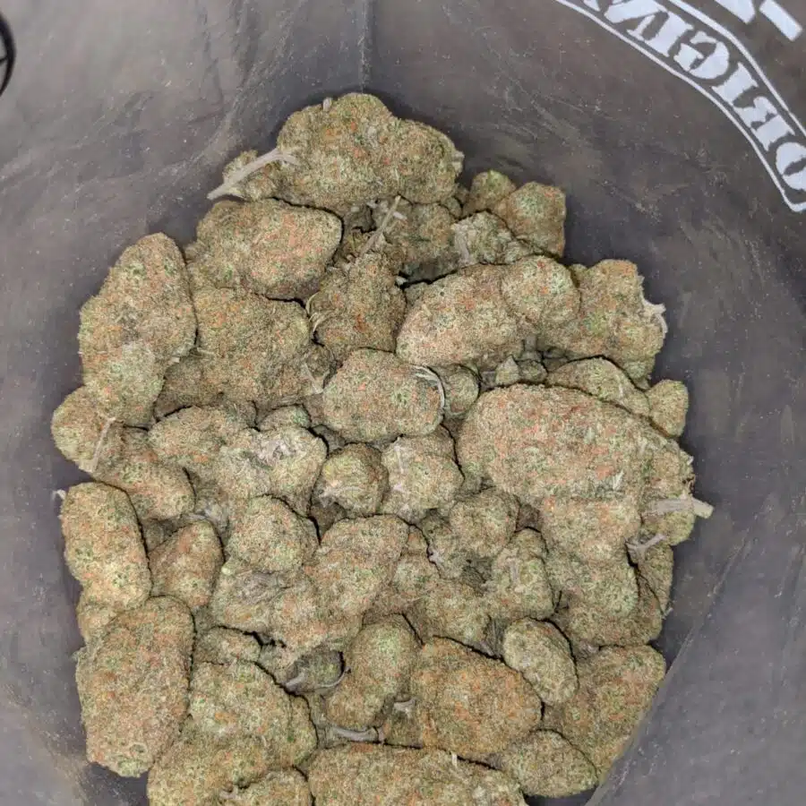 65 sugar cookies aaa 3 I $65 Oz - Sugar Cookies AAA