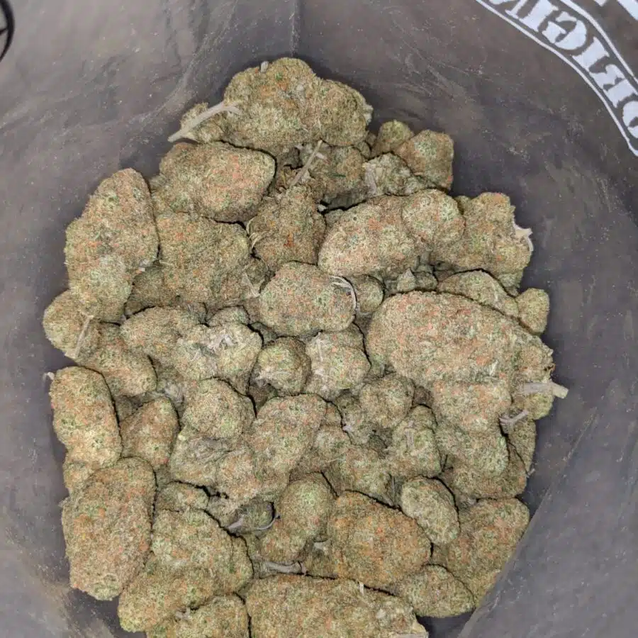 65 sugar cookies aaa 4 I $65 Oz - Sugar Cookies AAA