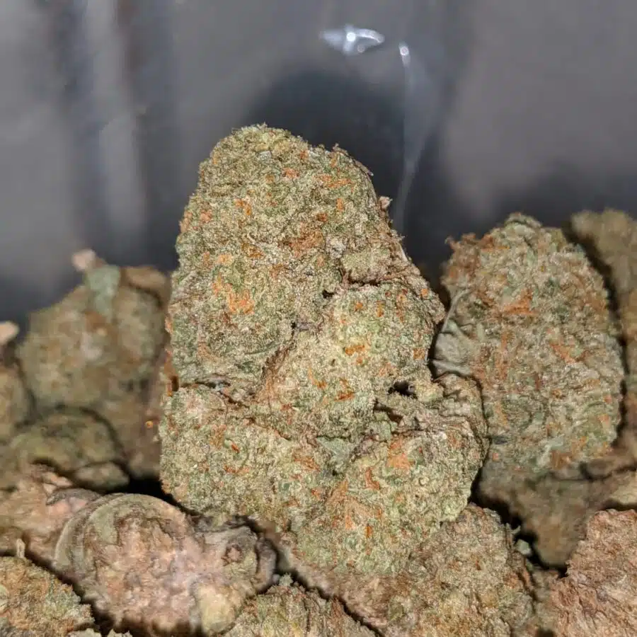 AA ROCKBUD BS 2 I AA Rockbud Bulk Special