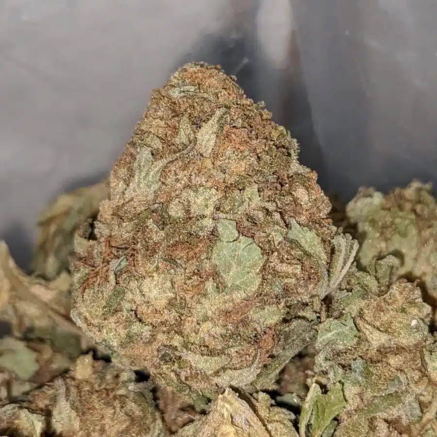 aa widow haze 2 I AA Widow Haze