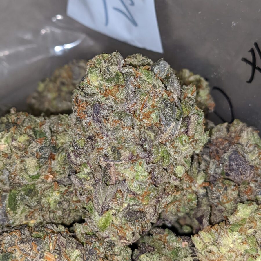 mystic punch deal of the day 2 I Mystic Punch - *Deal of the Day*
